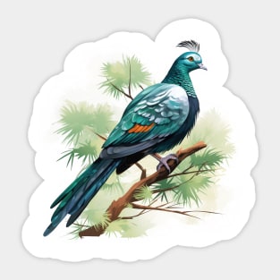 Nicobar Pigeon Sticker